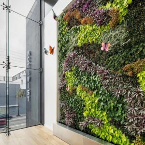 Vertical Garden Tanaman Hidup