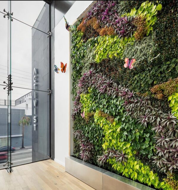 Vertical Garden Tanaman Hidup