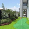putting3 Putting Golf