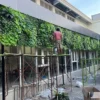 Vertical Garden Sintetis
