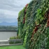 Vertical Garden Bogor