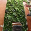 Moss Wall Artificial / Lumut Sintetis