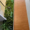 Moss Wall Artificial / Lumut Sintetis